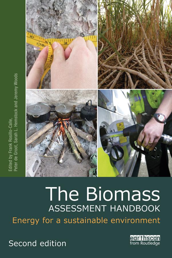 The Biomass Assessment Handbook by Frank Rosillo-Calle, Jeremy Woods, Peter de Groot, Sarah L. Hemstock