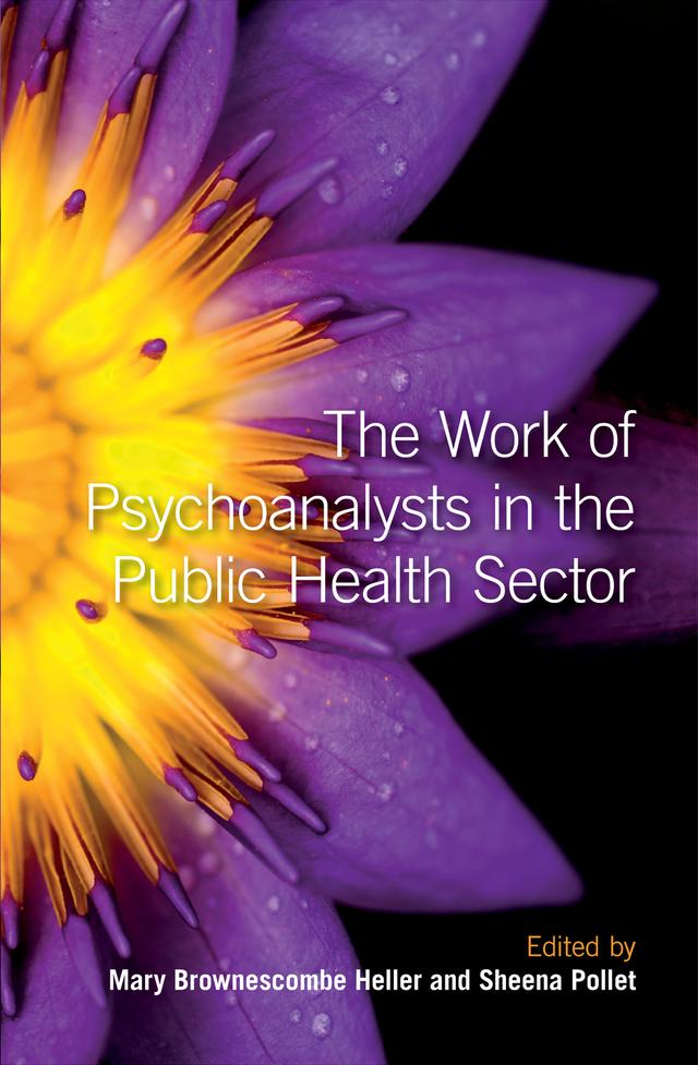 The Work of Psychoanalysts in the Public Health Sector by Mary Brownescombe Heller, Sheena Pollet