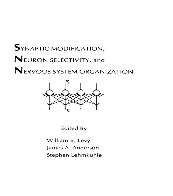 Synaptic Modification, Neuron Selectivity, and Nervous System Organization by James A. Anderson, Stephen Lehmkuhle, William B. Levy
