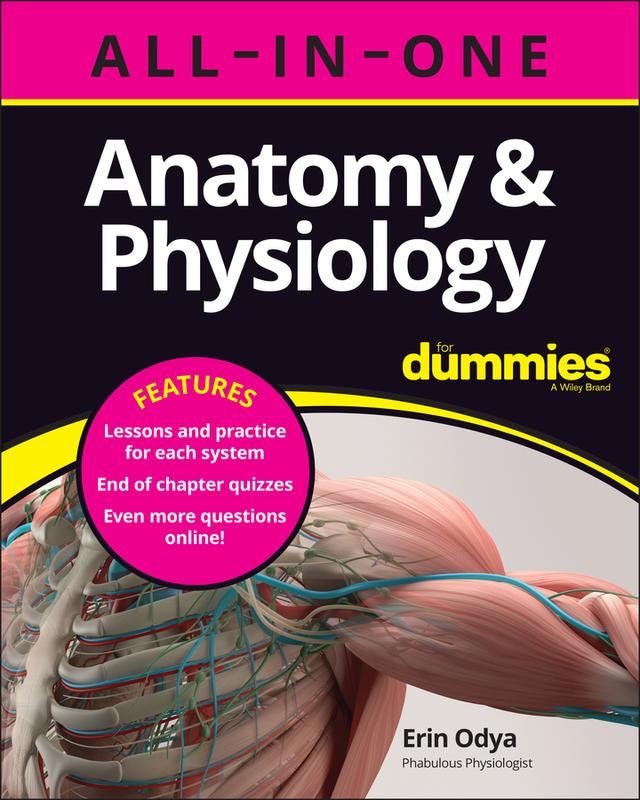 Anatomy &amp; Physiology All-in-One For Dummies (+ Chapter Quizzes Online) by Erin Odya