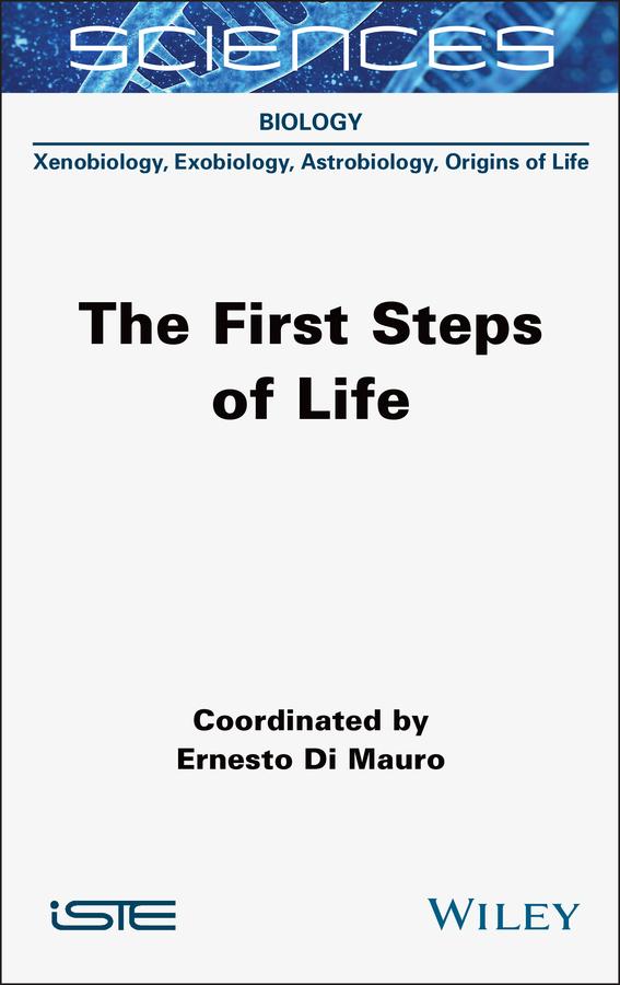 The First Steps of Life by Ernesto Di Mauro