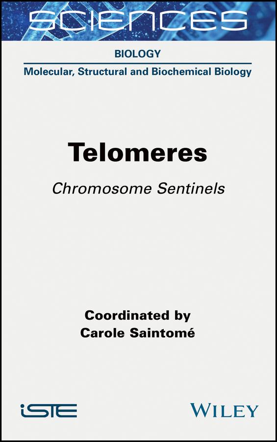 Telomeres by Carole Saintome