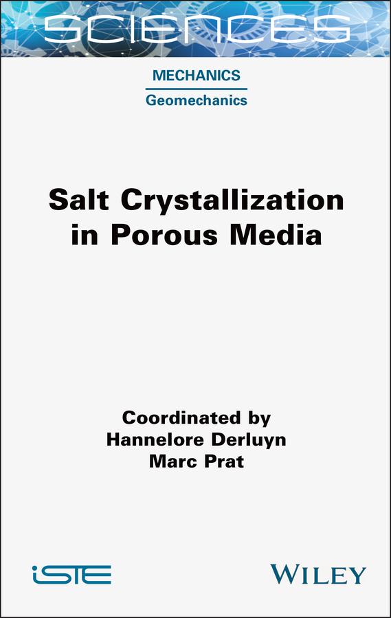 Salt Crystallization in Porous Media by Hannelore Derluyn, Marc Prat