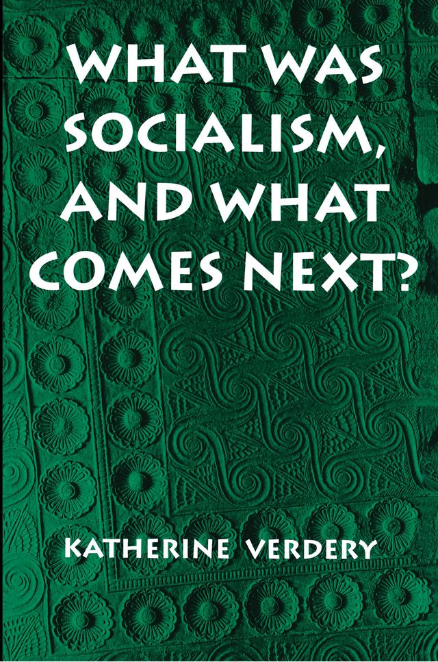 What Was Socialism, and What Comes Next? by Katherine Verdery