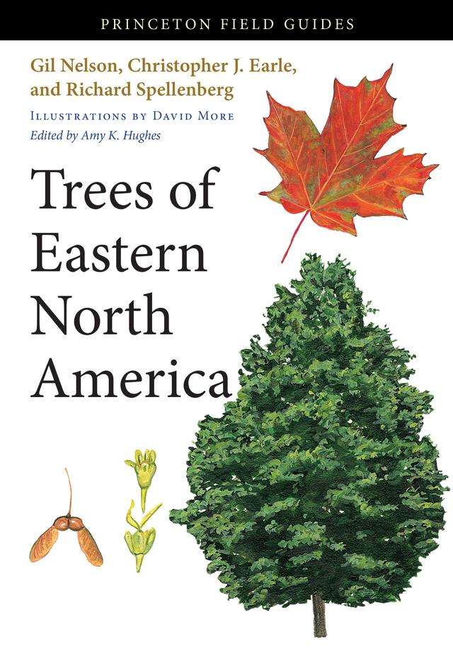 Trees of Eastern North America by Amy K. Hughes, Christopher J. Earle, David More, Gil Nelson, Richard Spellenberg