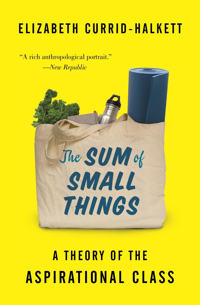 The Sum of Small Things by Elizabeth Currid-Halkett