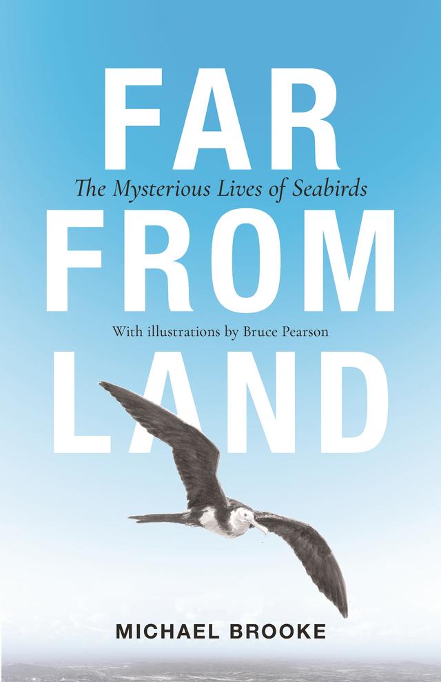 Far from Land by Bruce Pearson, Michael Brooke