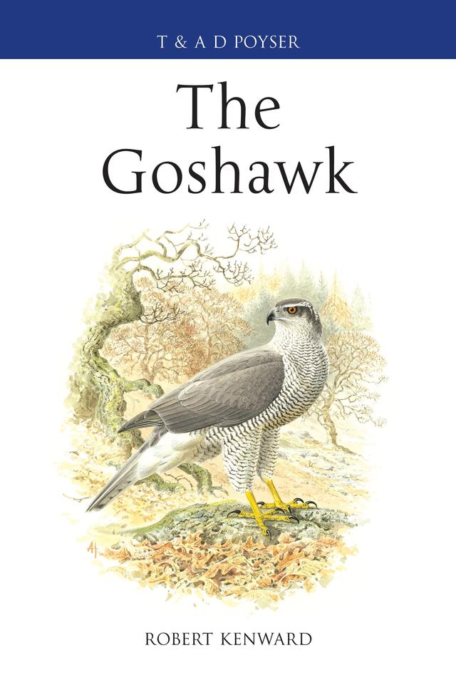 The Goshawk by 