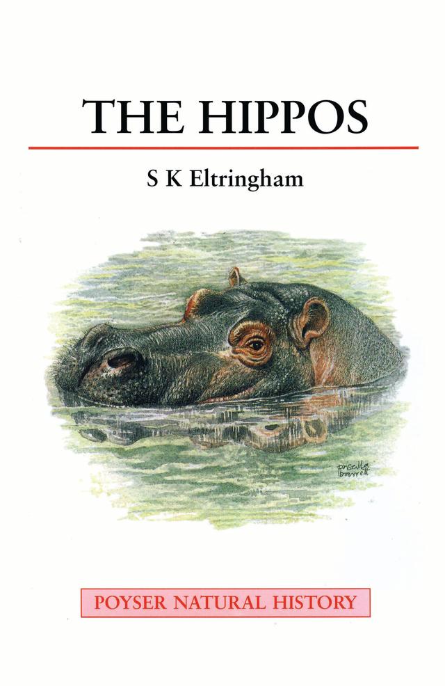 The Hippos by 