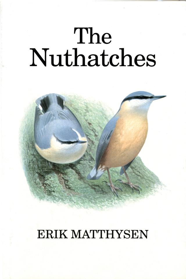 The Nuthatches by 