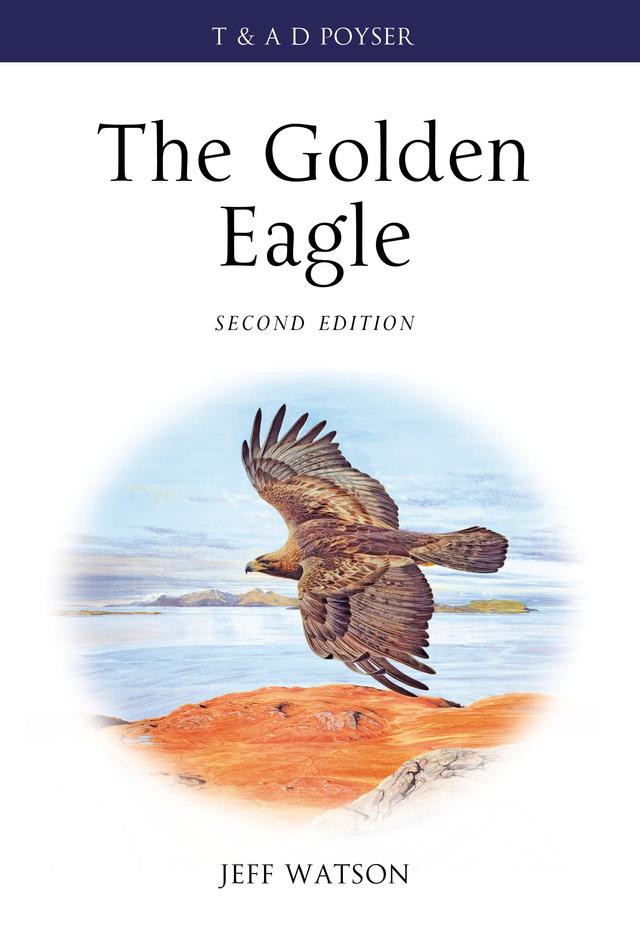 The Golden Eagle by 