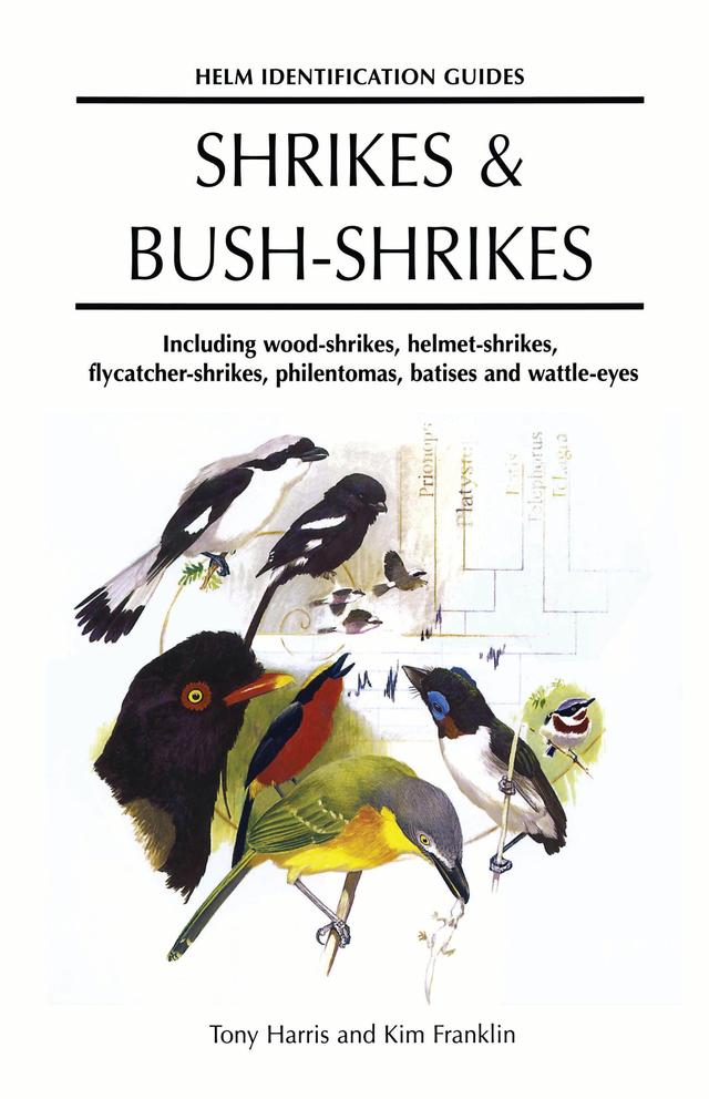 Shrikes and Bush-shrikes by Kim Franklin, Tony Harris