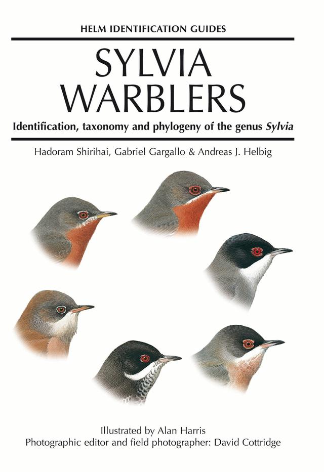 Sylvia Warblers by Alan Harris, Andreas Helbig, David Cottridge, Gabriel Gargallo, Hadoram Shirihai