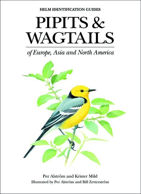 Pipits and Wagtails of Europe, Asia and North America by Bill Zetterstrom, Krister Mild, Per Alström