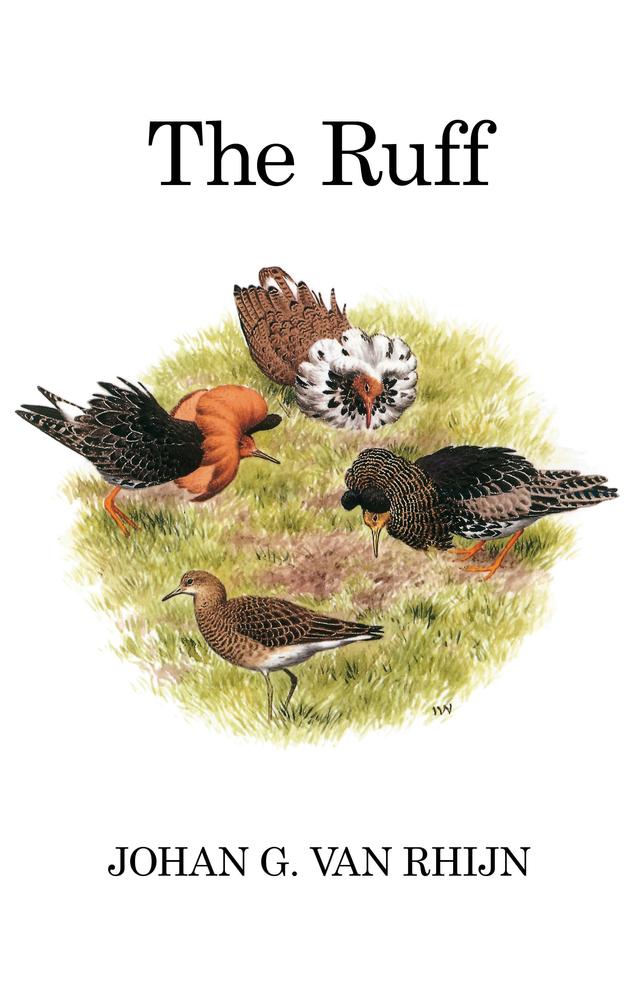 The Ruff by 