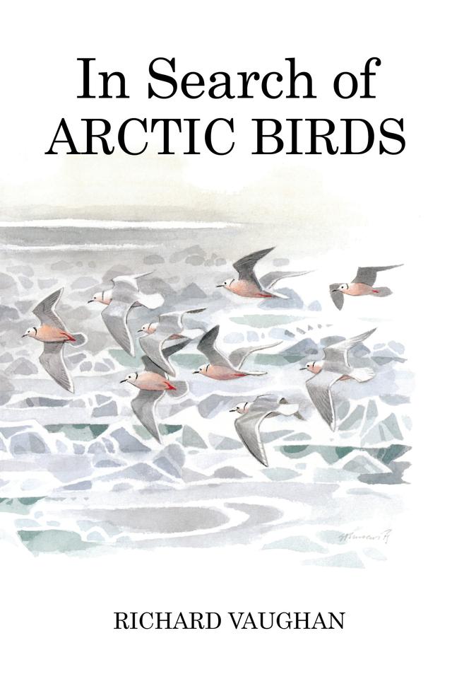 In Search of Arctic Birds by 