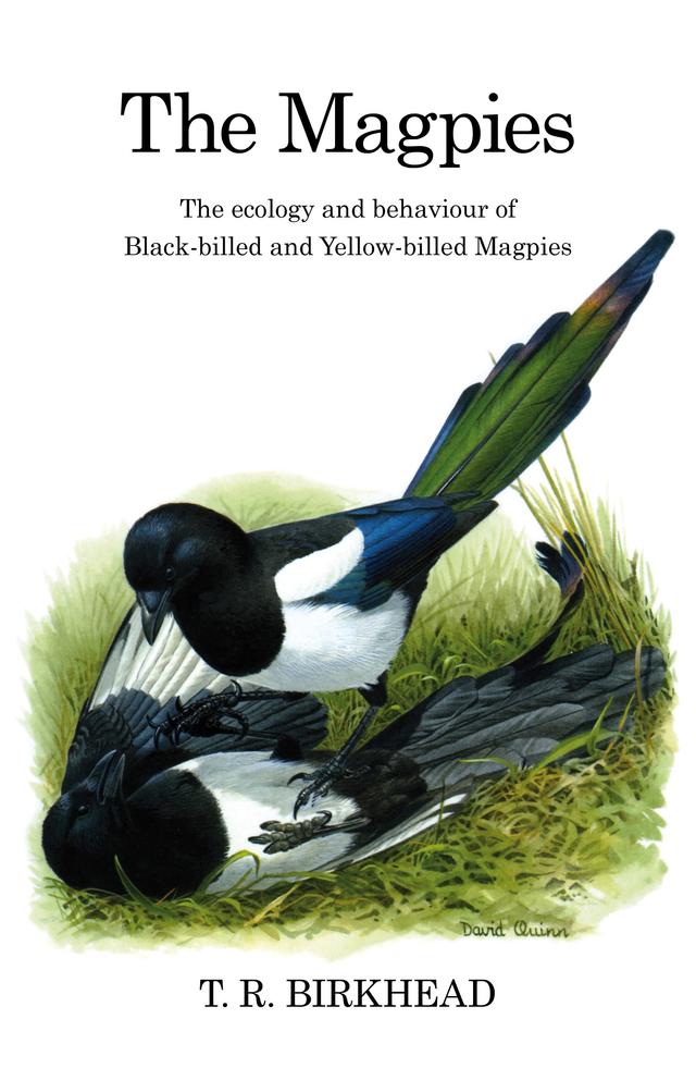 The Magpies: The Ecology and Behaviour of Black-Billed and Yellow-Billed Magpies by 