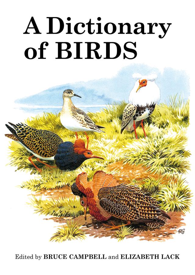 A Dictionary of Birds by 