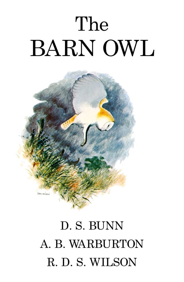 The Barn Owl by 
