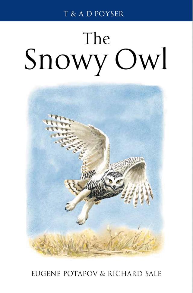 The Snowy Owl by 