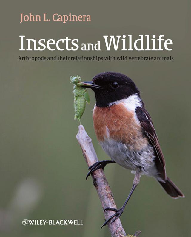 Insects and Wildlife by Dr John Capinera