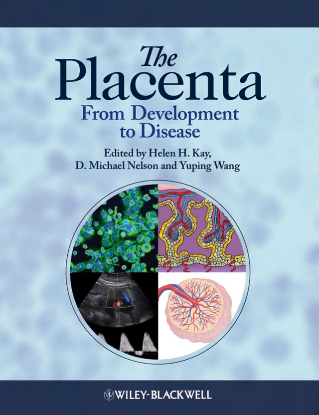 The Placenta by D. Michael Nelson, Helen Kay, Yuping Wang