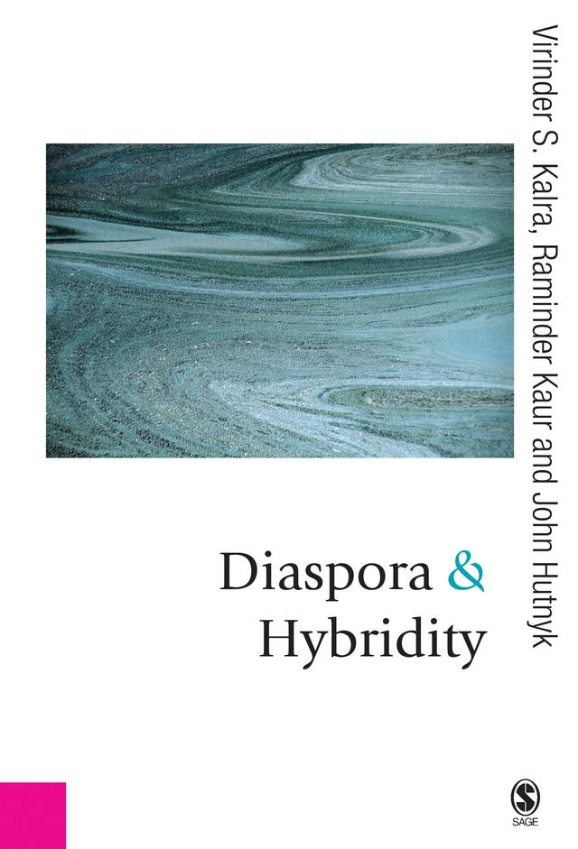 Diaspora and Hybridity by Virinder Kalra