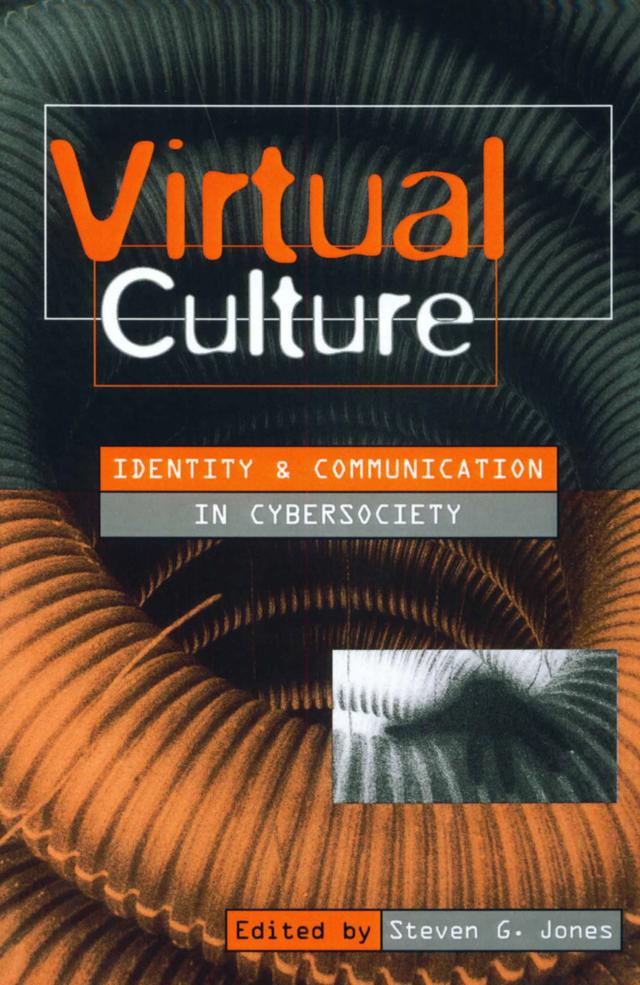 Virtual Culture by Steve Jones