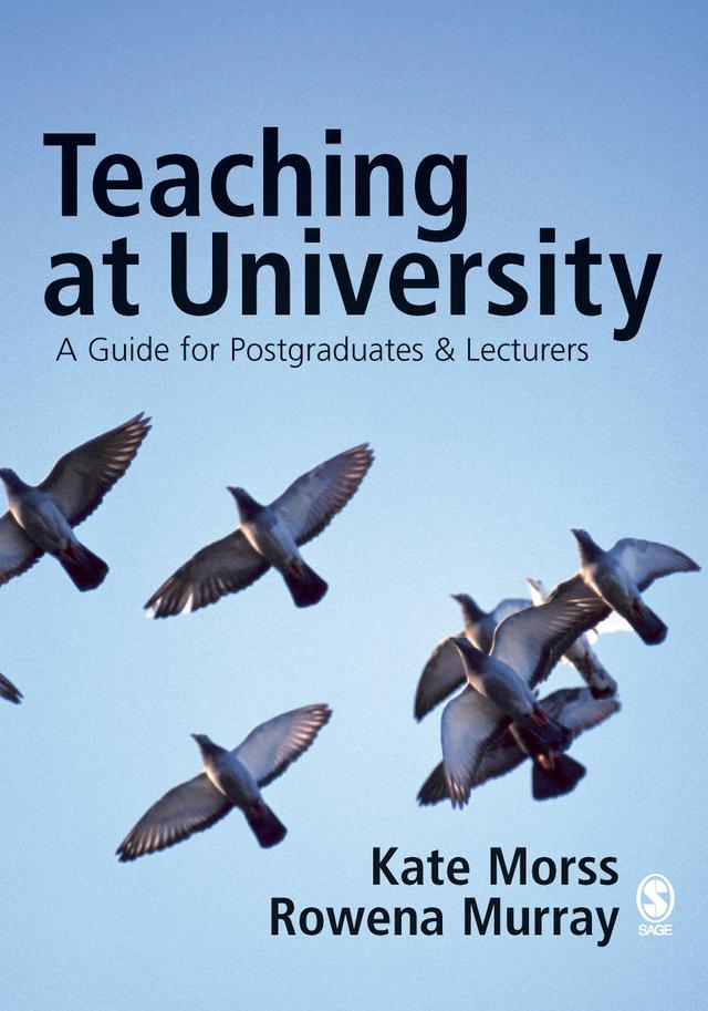 Teaching at University by Kate Morss