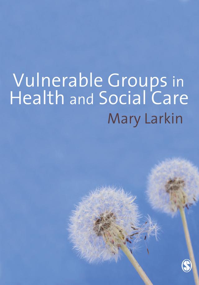 Vulnerable Groups in Health and Social Care by Mary Larkin