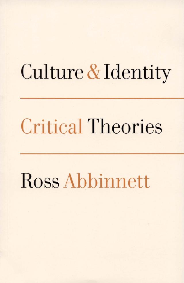 Culture and Identity by Ross Abbinnett