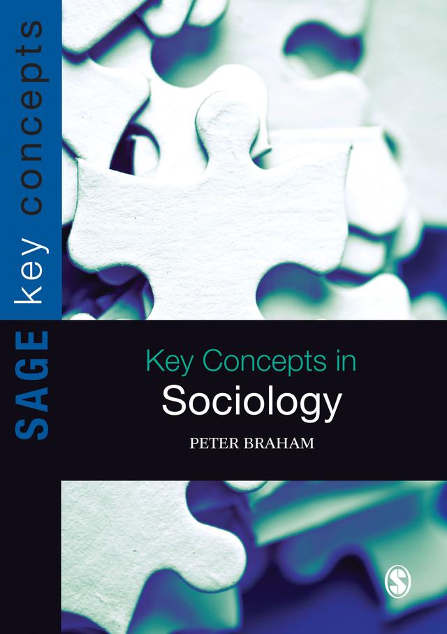 Key Concepts in Sociology by Peter Braham