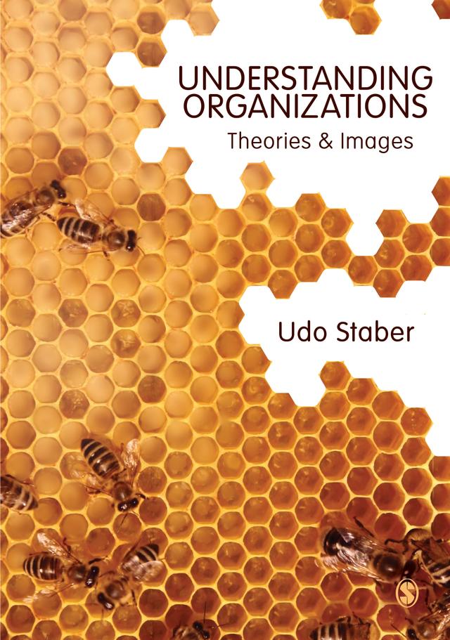Understanding Organizations by Udo Staber
