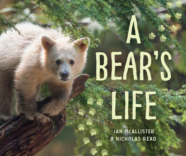A Bear's Life by Ian McAllister, Nicholas Read