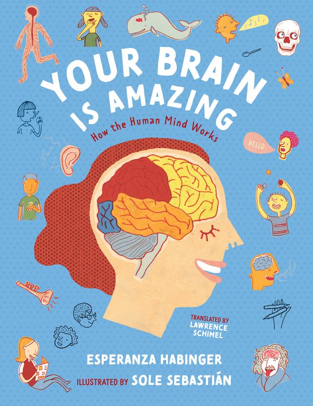 Your Brain Is Amazing by Esperanza Habinger, Lawrence Schimel, Sole Sebastián