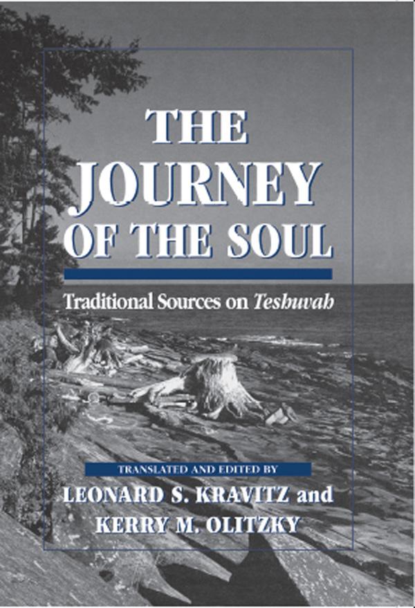 The Journey of the Soul by Kerry M. Olitzky, Leonard S. Kravitz