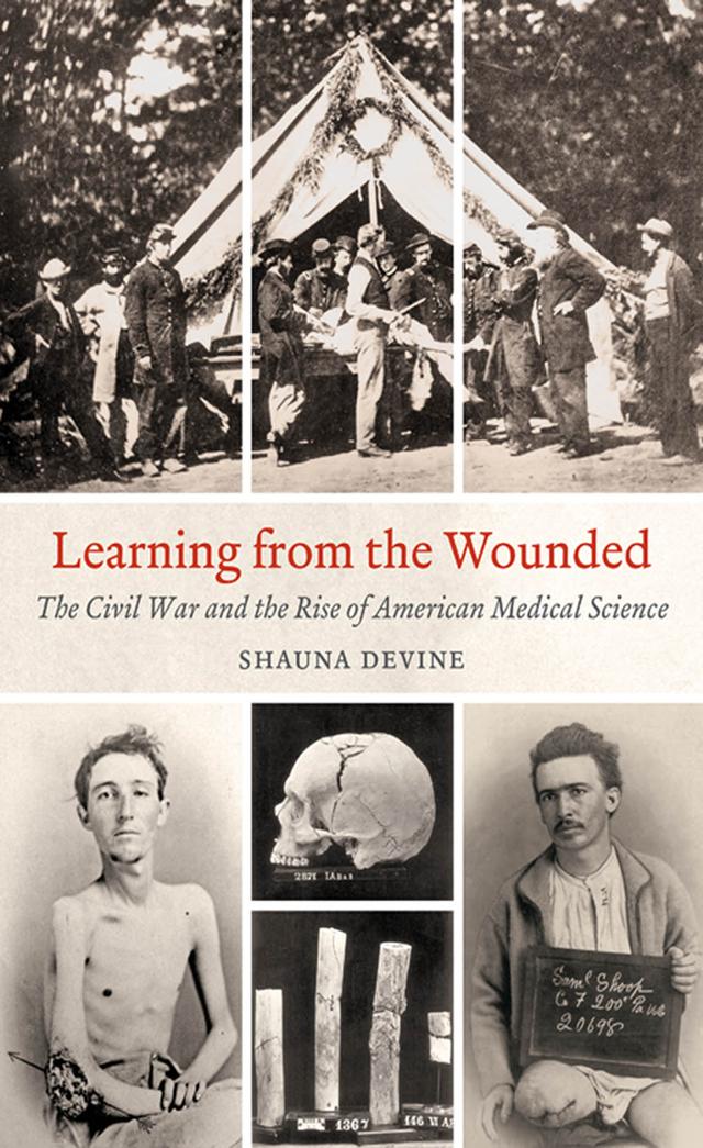 Learning from the Wounded by Shauna Devine