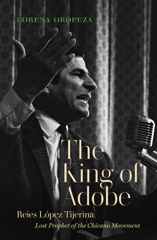 The King of Adobe by Lorena Oropeza