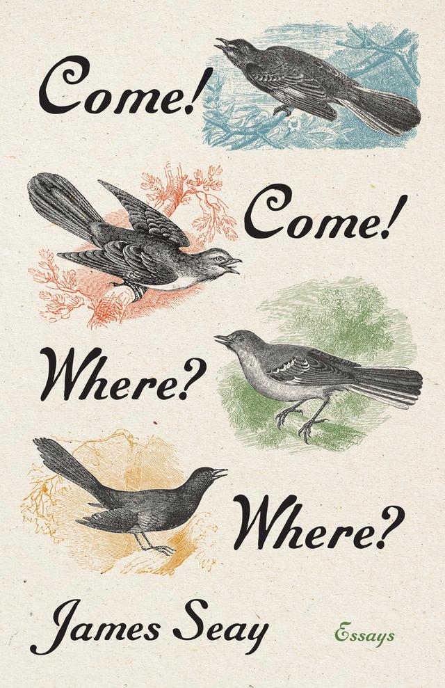 Come! Come! Where? Where? by James Seay