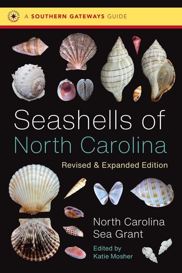 Seashells of North Carolina, Revised and Expanded Edition by Katie Mosher, North Carolina Sea Grant
