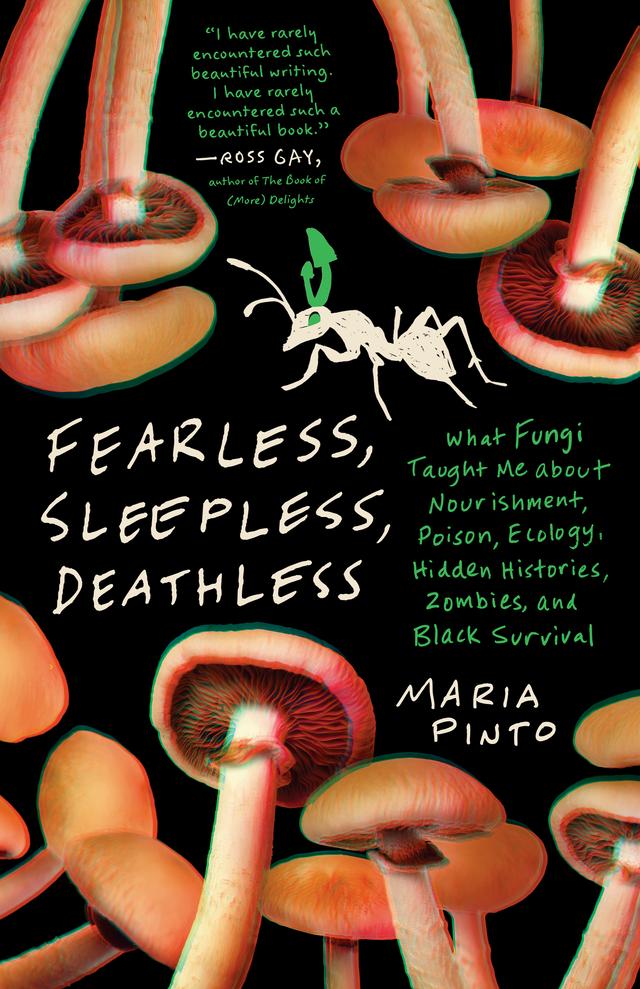 Fearless, Sleepless, Deathless by Maria Pinto