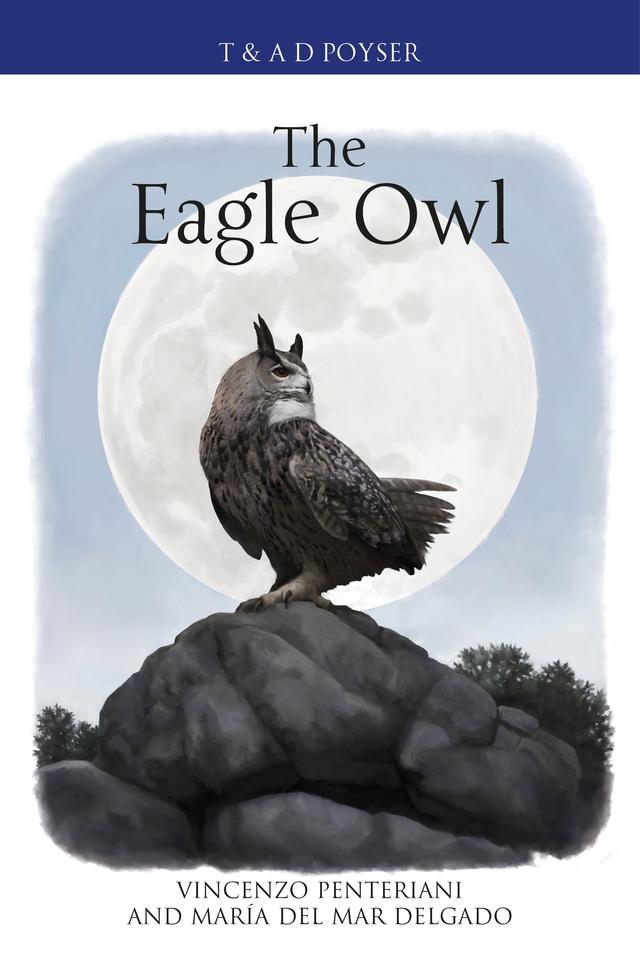 The Eagle Owl by 