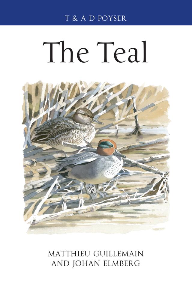 The Teal by Johan Elmberg, Matthieu Guillemain