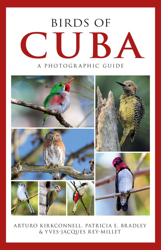 Photographic Guide to the Birds of Cuba by Arturo Kirkconnell, Patricia E. Bradley, Yves-Jacques Rey-Millet