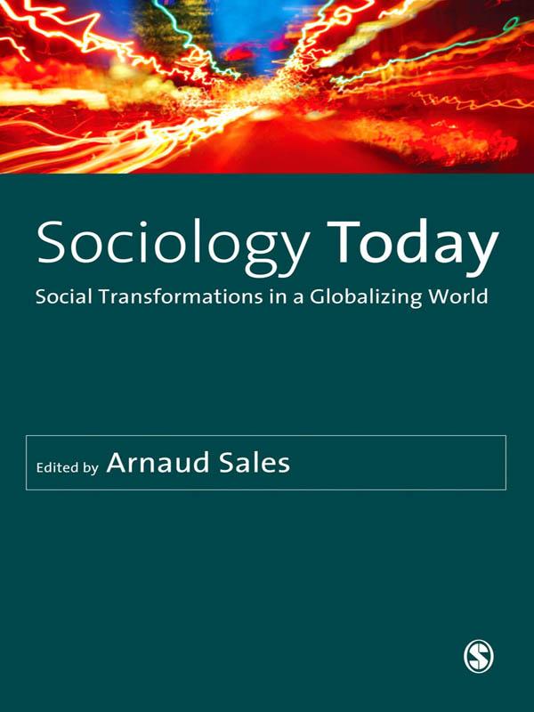 Sociology Today by Arnaud Sales