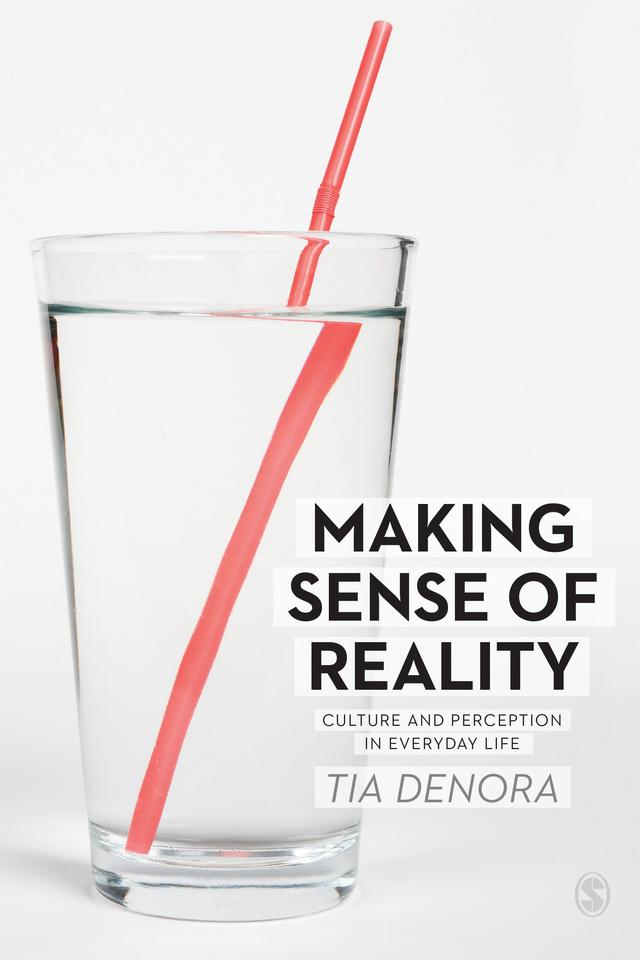 Making Sense of Reality by Tia DeNora