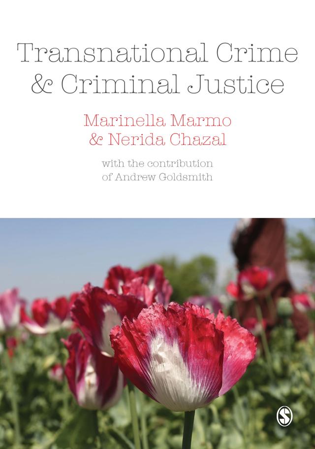 Transnational Crime and Criminal Justice by Marinella Marmo