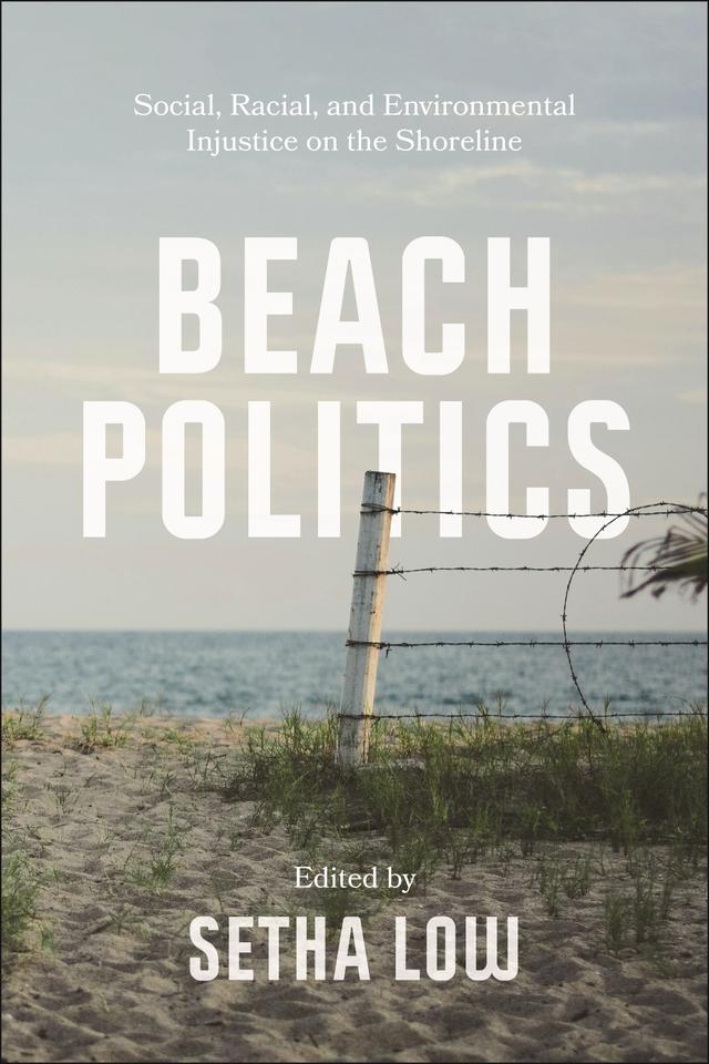 Beach Politics by Setha Low