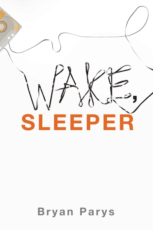 Wake, Sleeper by Bryan Parys