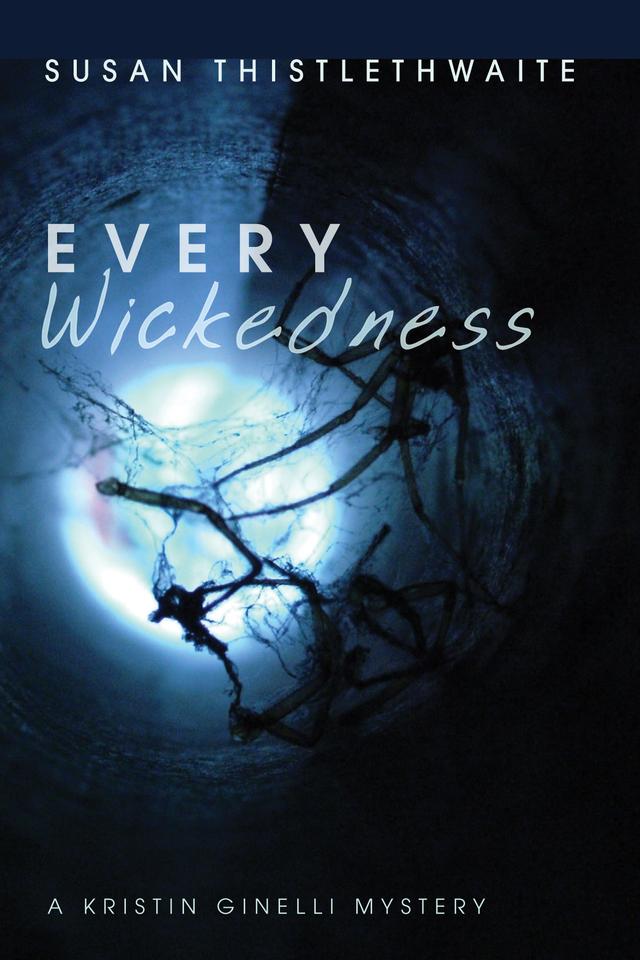 Every Wickedness by Susan Thistlethwaite